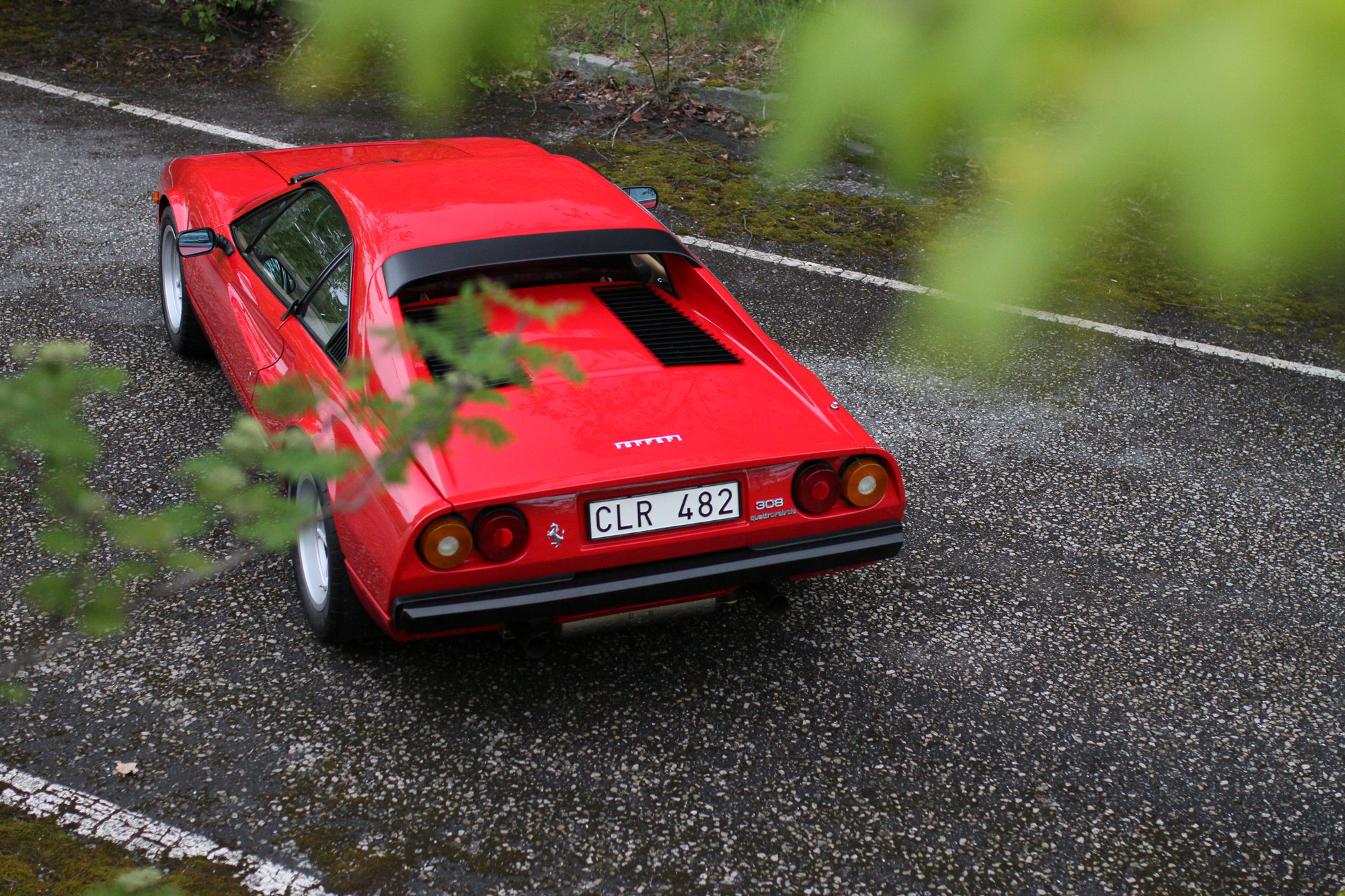 Ferrari 308 from behind between the trees
