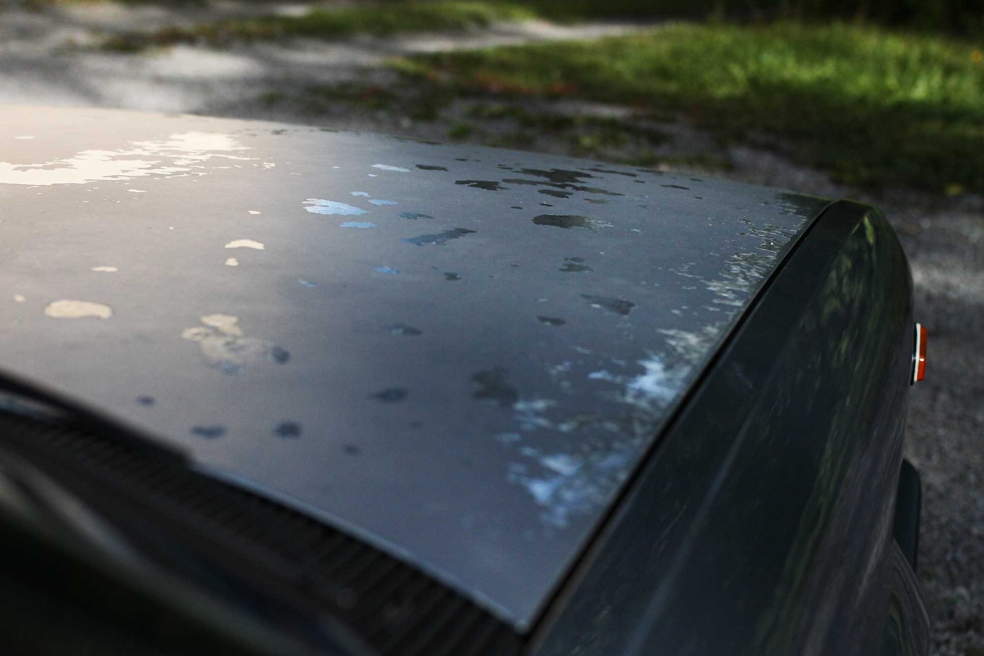 Fiat argenta hood