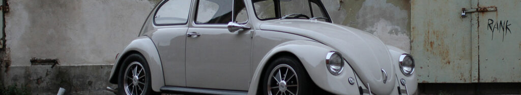 California Look Beetle 1967