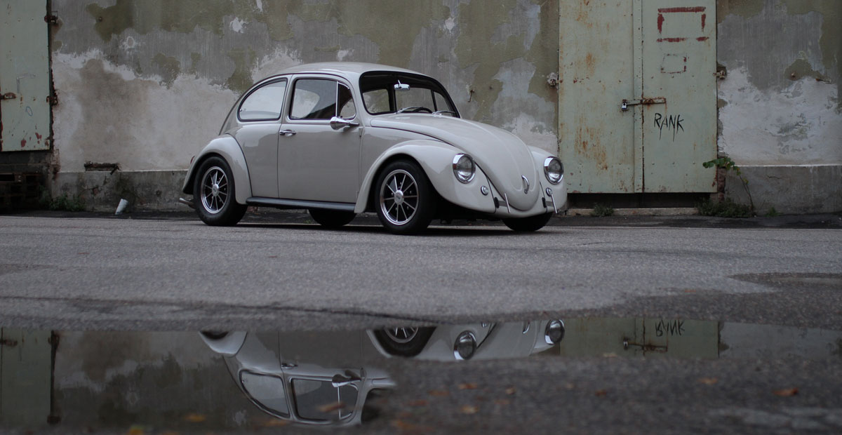 California Look Beetle 1967