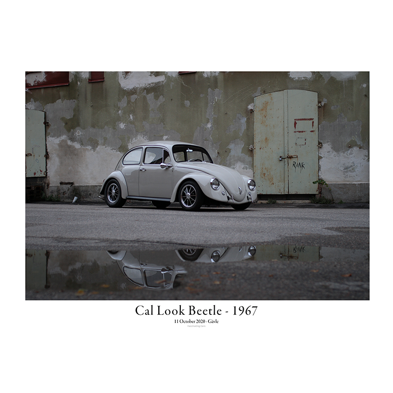 Cal Look Beetle - 1967 - infront of house water