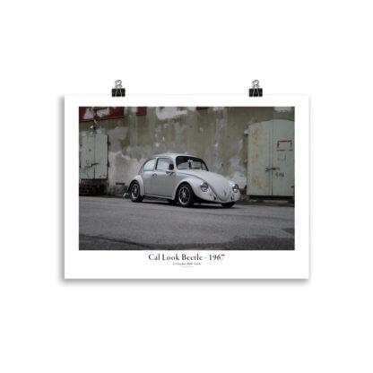 Cal Look Beetle - 1967 - STanding alone in 30x40