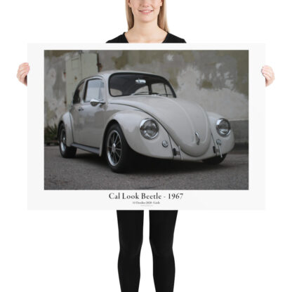 Cal Look Beetle - 1967 - Alone standing front 100x70