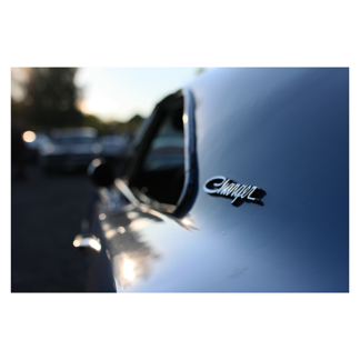Dodge-Charger-brand-in-the-sun