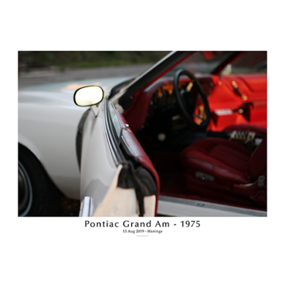 Pontiac-grand-am-1975-Door-profile-with-text
