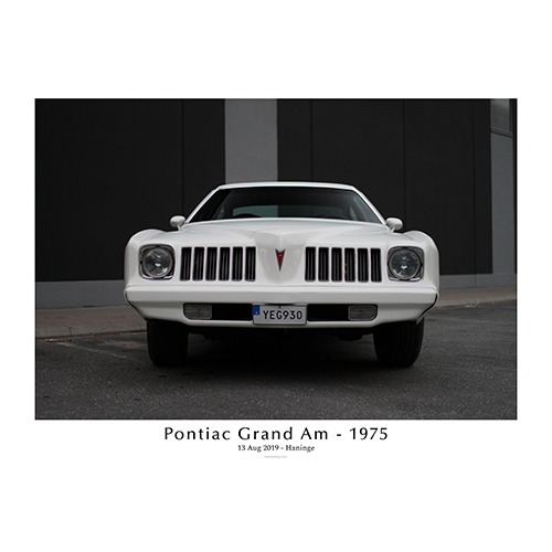 Pontiac-grand-am-1975-Front-with-text