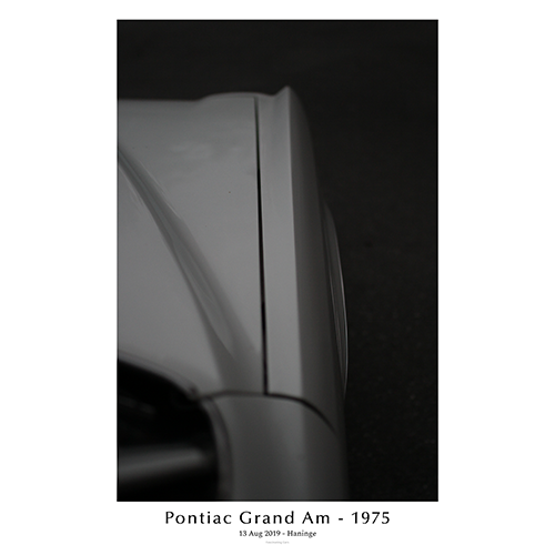 Pontiac-grand-am-1975-Left-back-fender-with-text