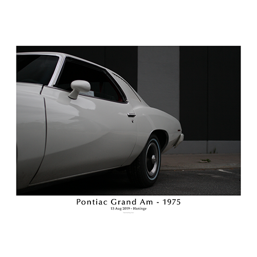 Pontiac-grand-am-1975-Left-rear-with-text