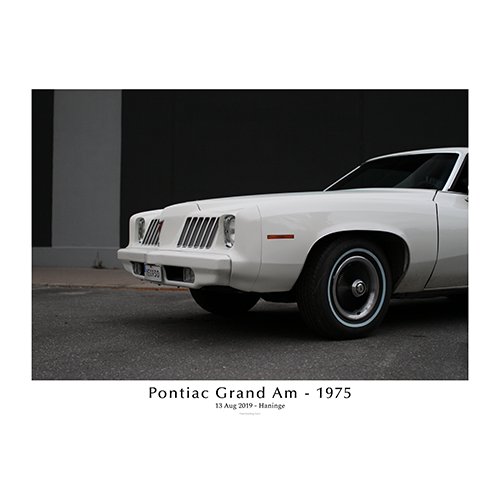 Pontiac-grand-am-1975-Left-side-profile-with-text
