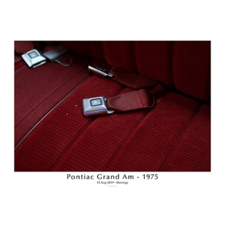 Pontiac-grand-am-1975-Saftey-belt-with-text