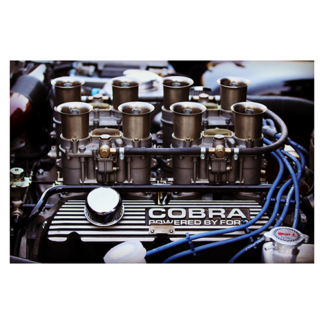 Shelby-Ford-Engine-profile