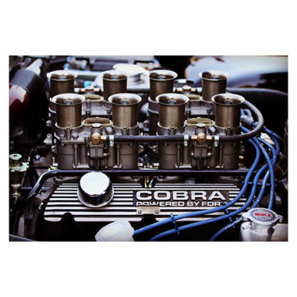 Shelby-Ford-Engine-profile