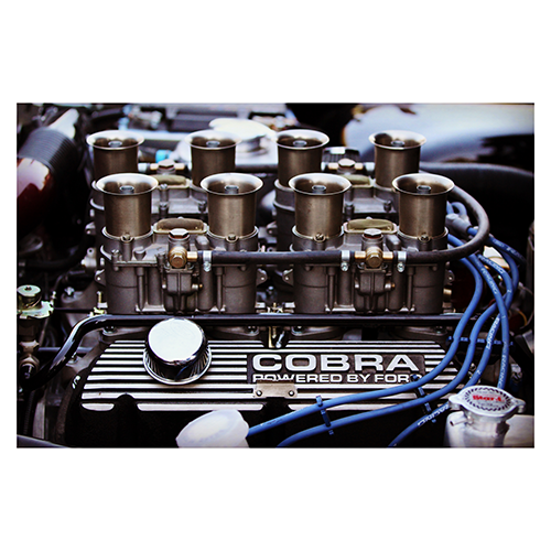 Shelby-Ford-Engine-profile