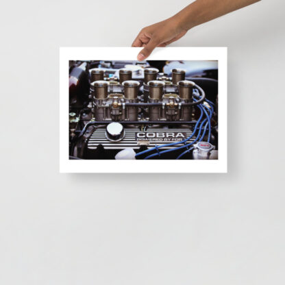 Shelby-Ford-Engine-profile 30x40