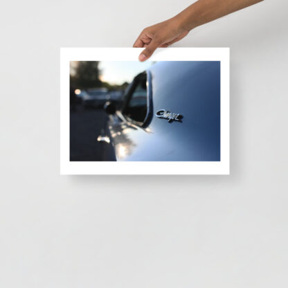 Dodge-Charger-brand-in-the-sun 30x40
