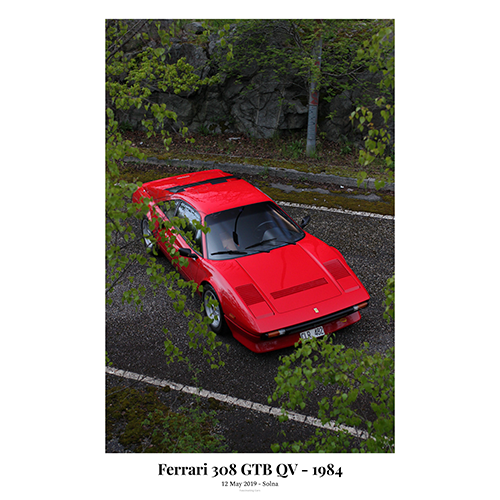 Ferrari-308-GTB-QV-Behind-leaves-with-text