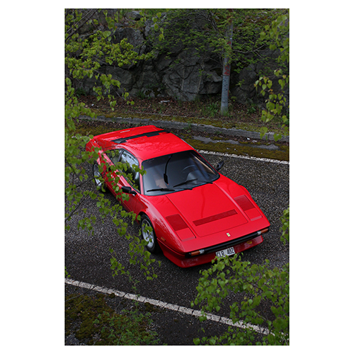 Ferrari-308-GTB-QV-Behind-leaves