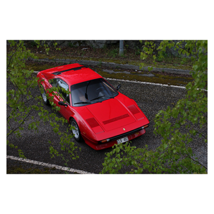 Ferrari-308-GTB-QV-From-above-behind-leaves
