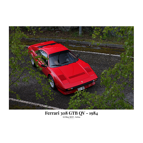 Ferrari-308-GTB-QV-From-above-behind-leaves-with-text