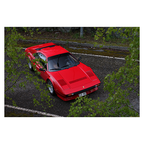 Ferrari-308-GTB-QV-From-above-behind-leaves
