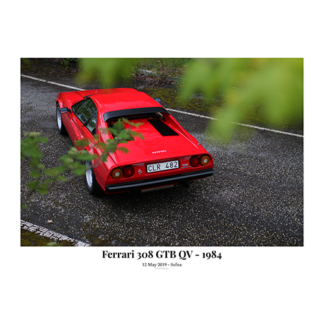 Ferrari-308-GTB-QV-Rear-behind-leaves-with-text