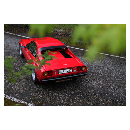 Ferrari-308-GTB-QV-Rear-behind-leaves