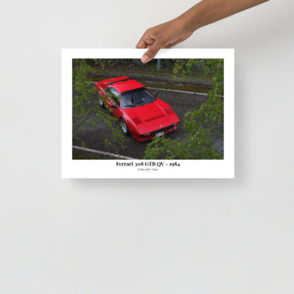 Ferrari-308-GTB-QV-From-above-behind-leaves-with-text 30x40