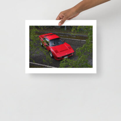 Ferrari-308-GTB-QV-From-above-behind-leaves 30x40