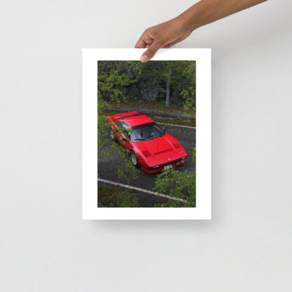 Ferrari-308-GTB-QV-Behind-leaves 30x40