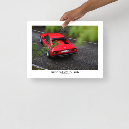 Ferrari-308-GTB-QV-Rear-behind-leaves-with-text 30x40